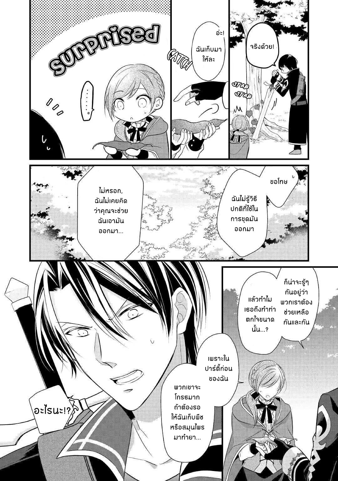 E-Rank Healer page 5