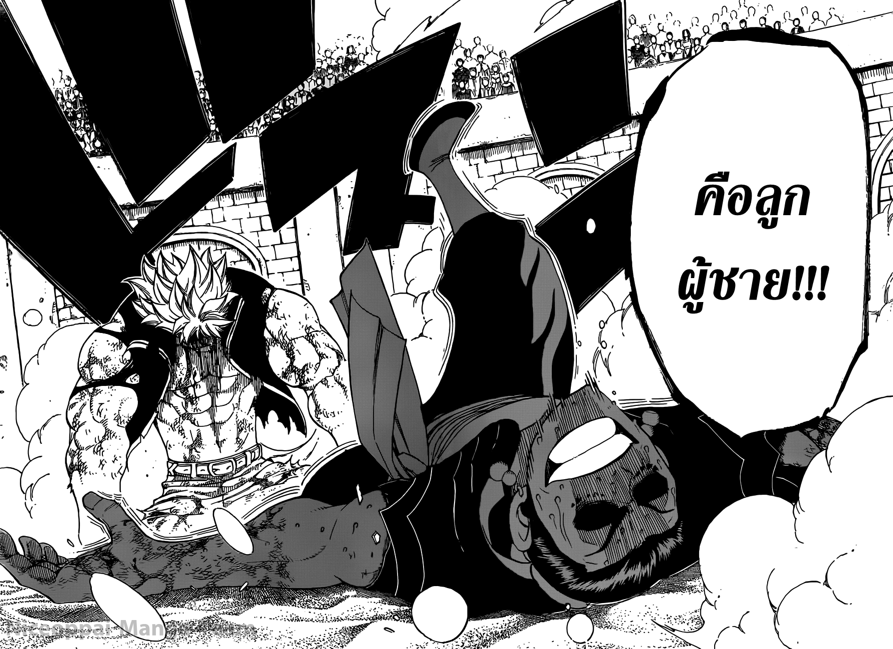 Fairy Tail page 25