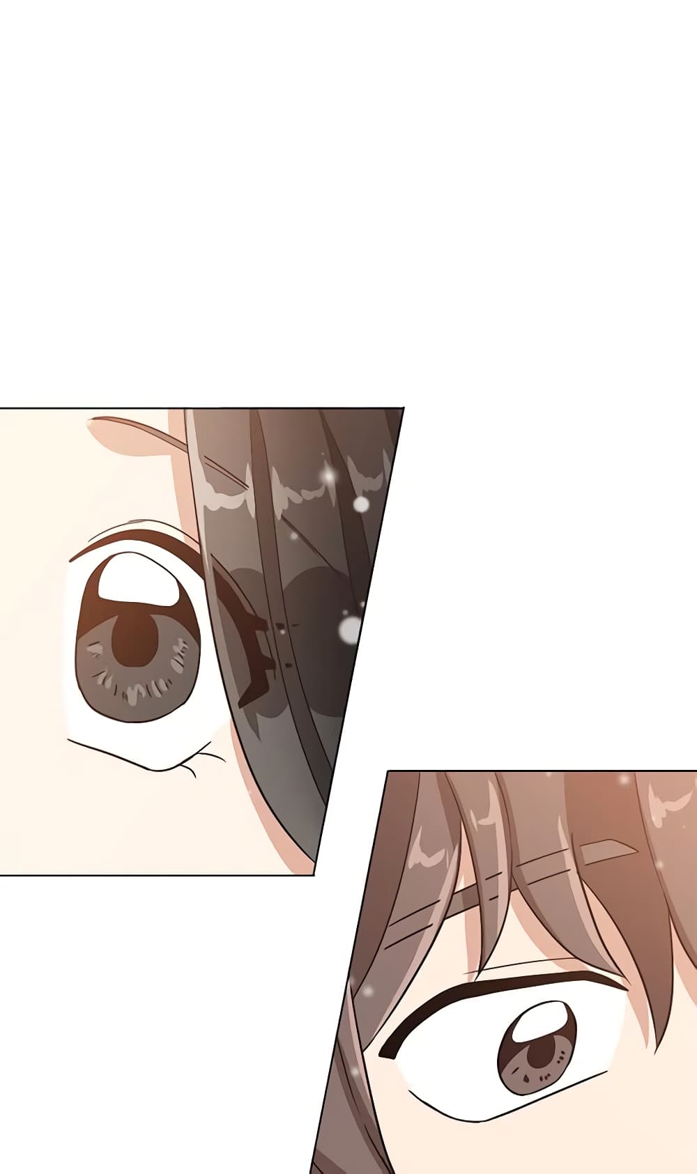 Falling Flower, Flowing Water page 49