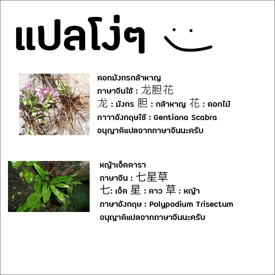 Feng Qi Cang Lan สายลมแห่งชางหลัน page 7