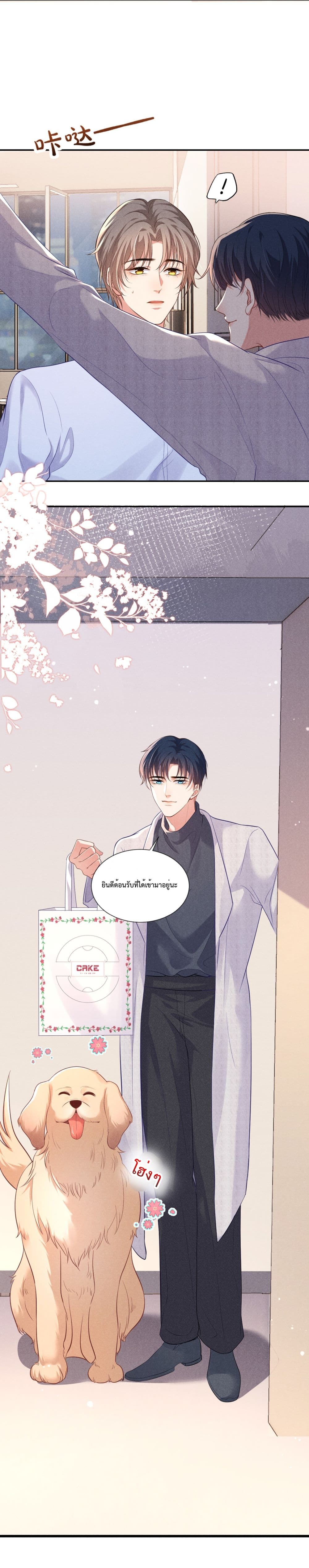 Fireworks page 11