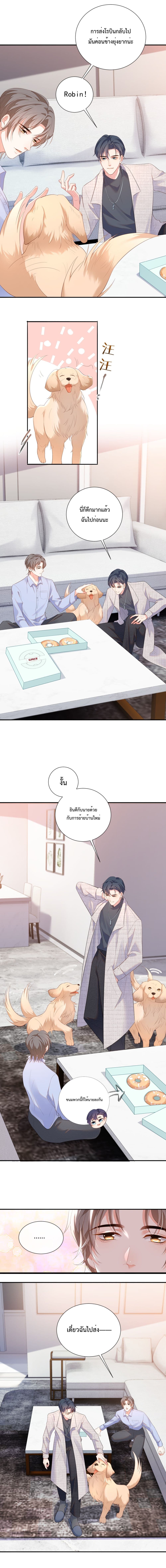 Fireworks page 8