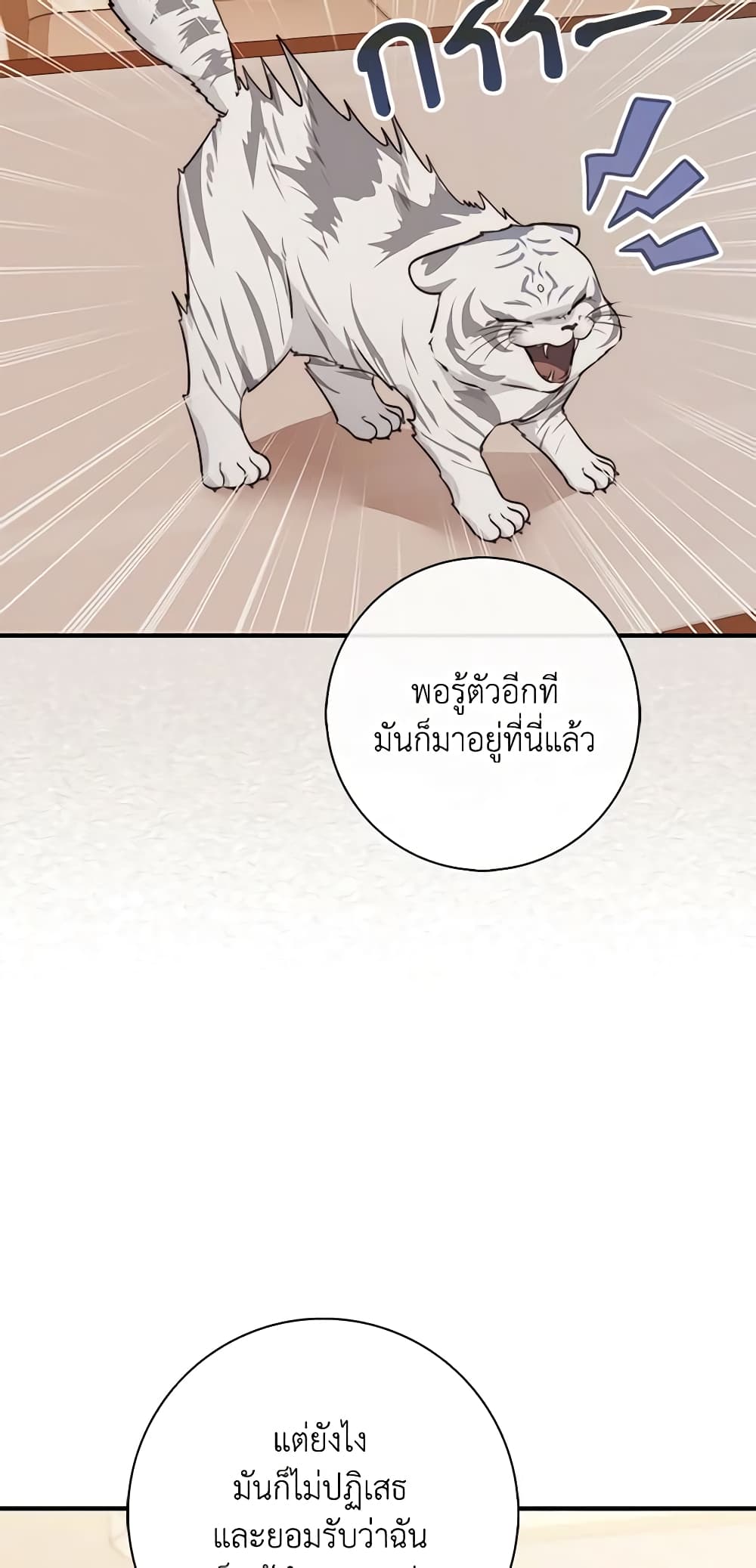 Fortune-Telling Lady page 47