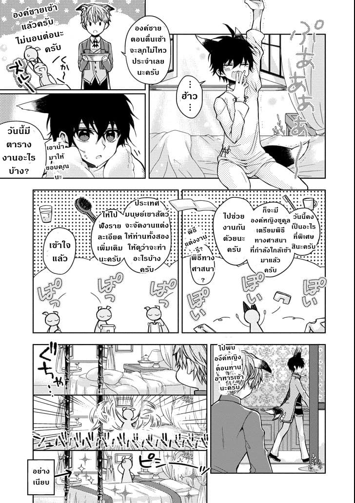 Garden Sphere page 3