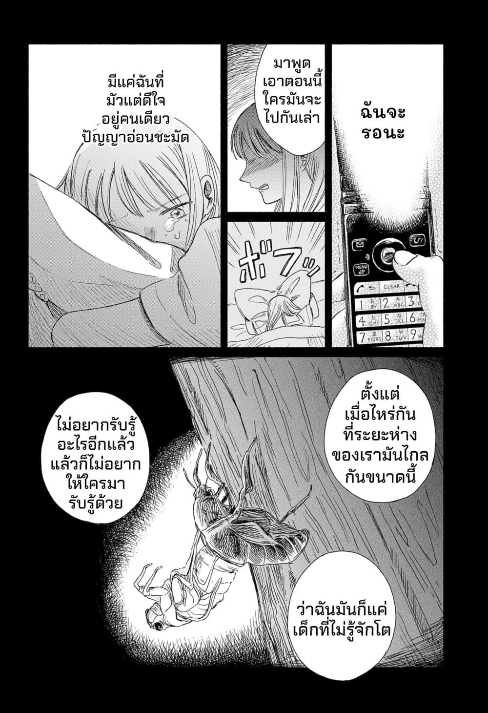 Half-Shadow of an Empty Shell page 36