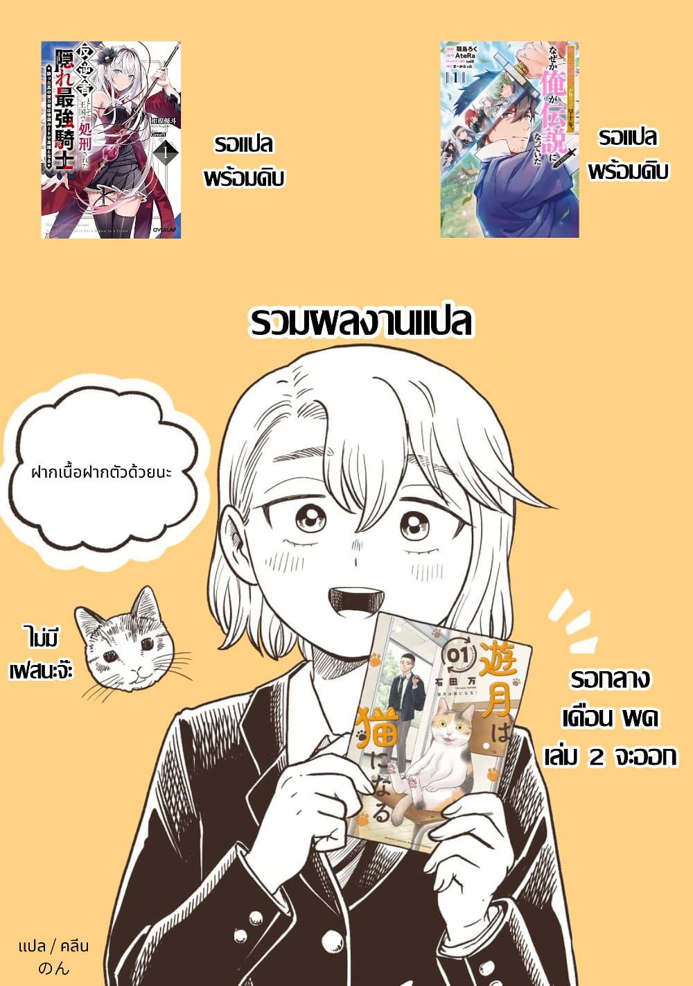 Hangyakusha to Shite Oukoku de Shokei Sareta Kakure Saikyu Kishi page 39