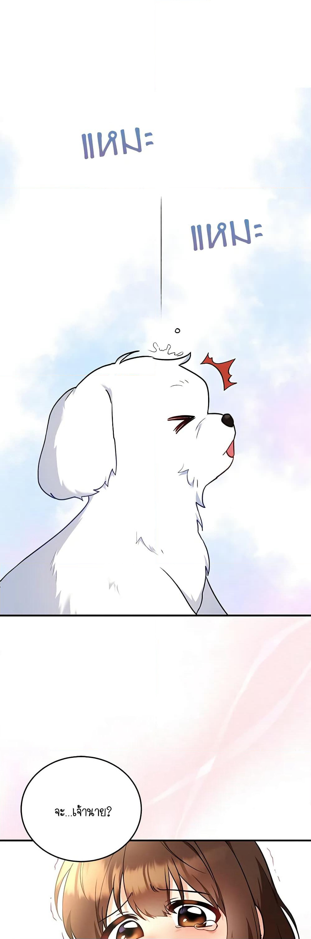 Hello! Veterinarian! page 5