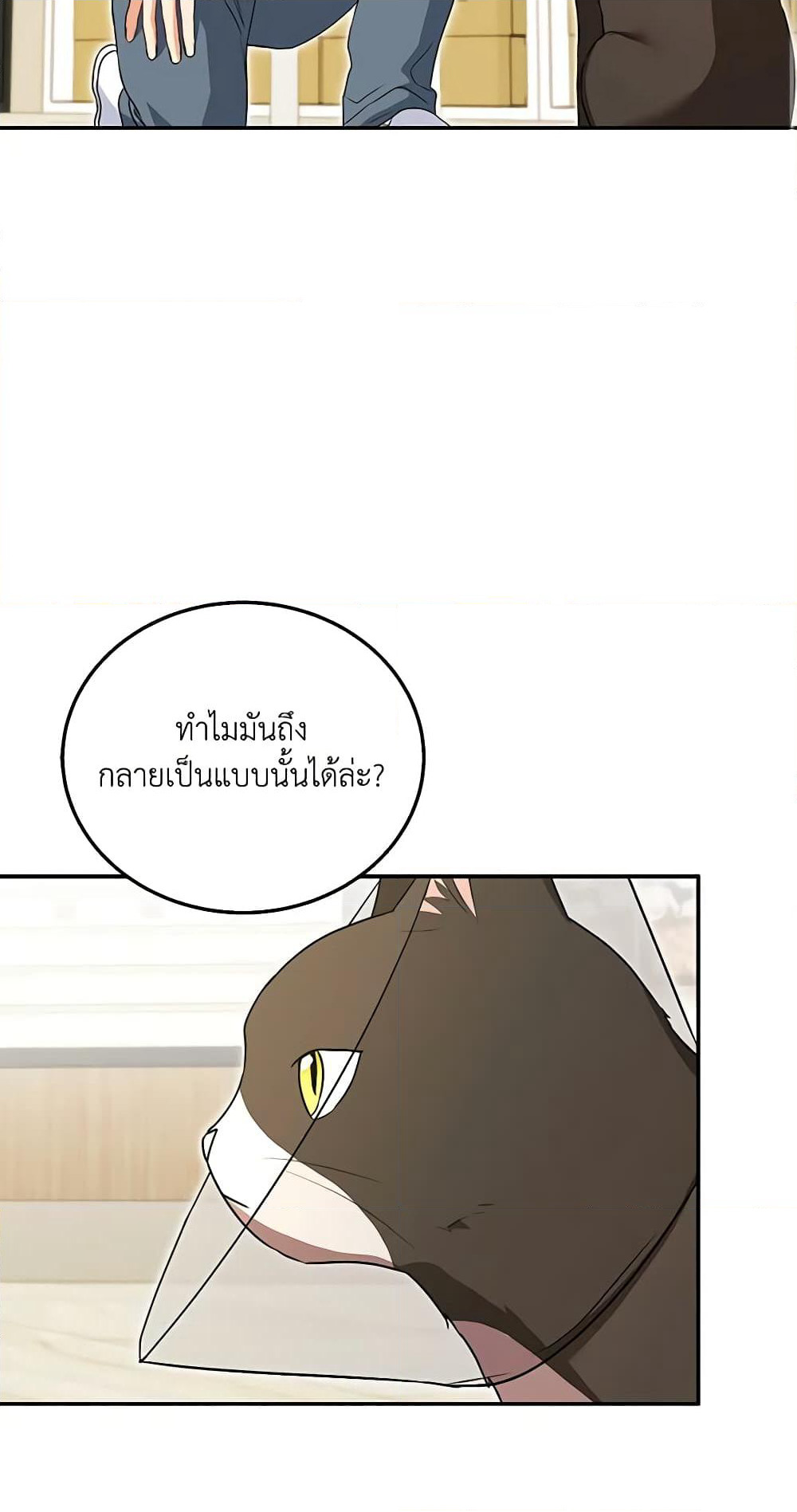 Hello! Veterinarian! page 37