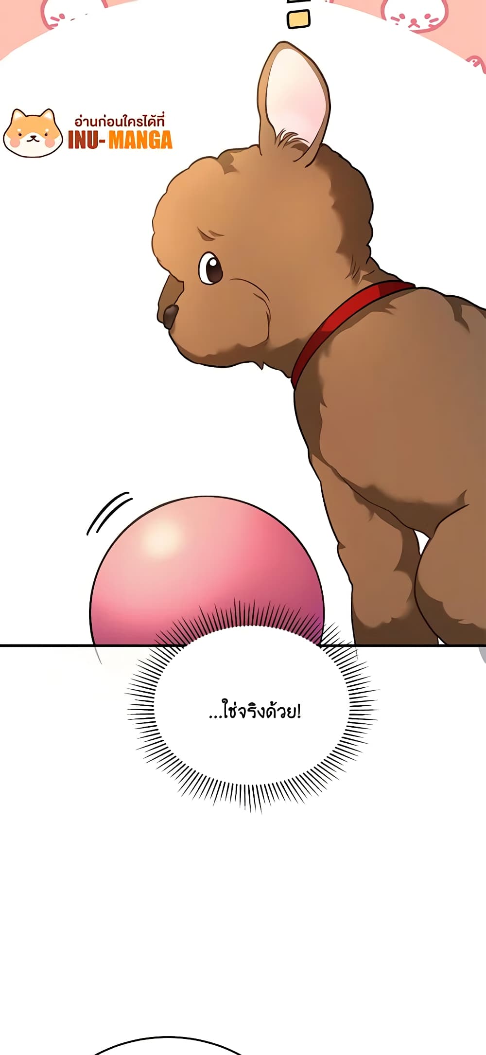 Hello! Veterinarian! page 40