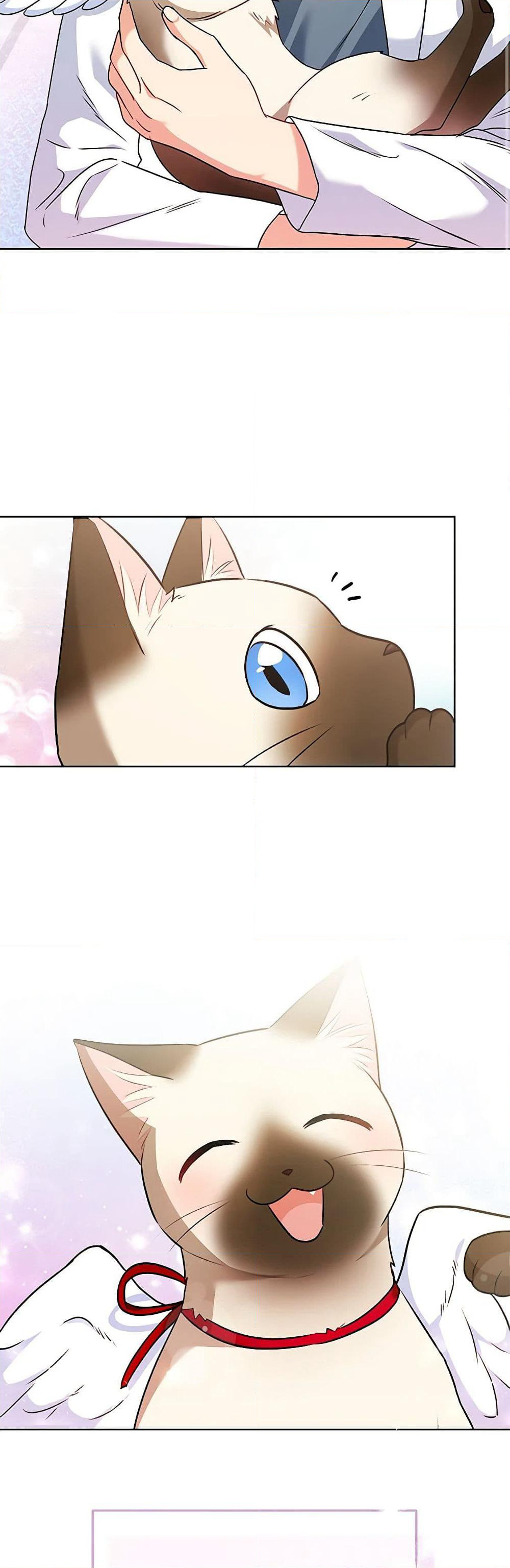 Hello! Veterinarian! page 25