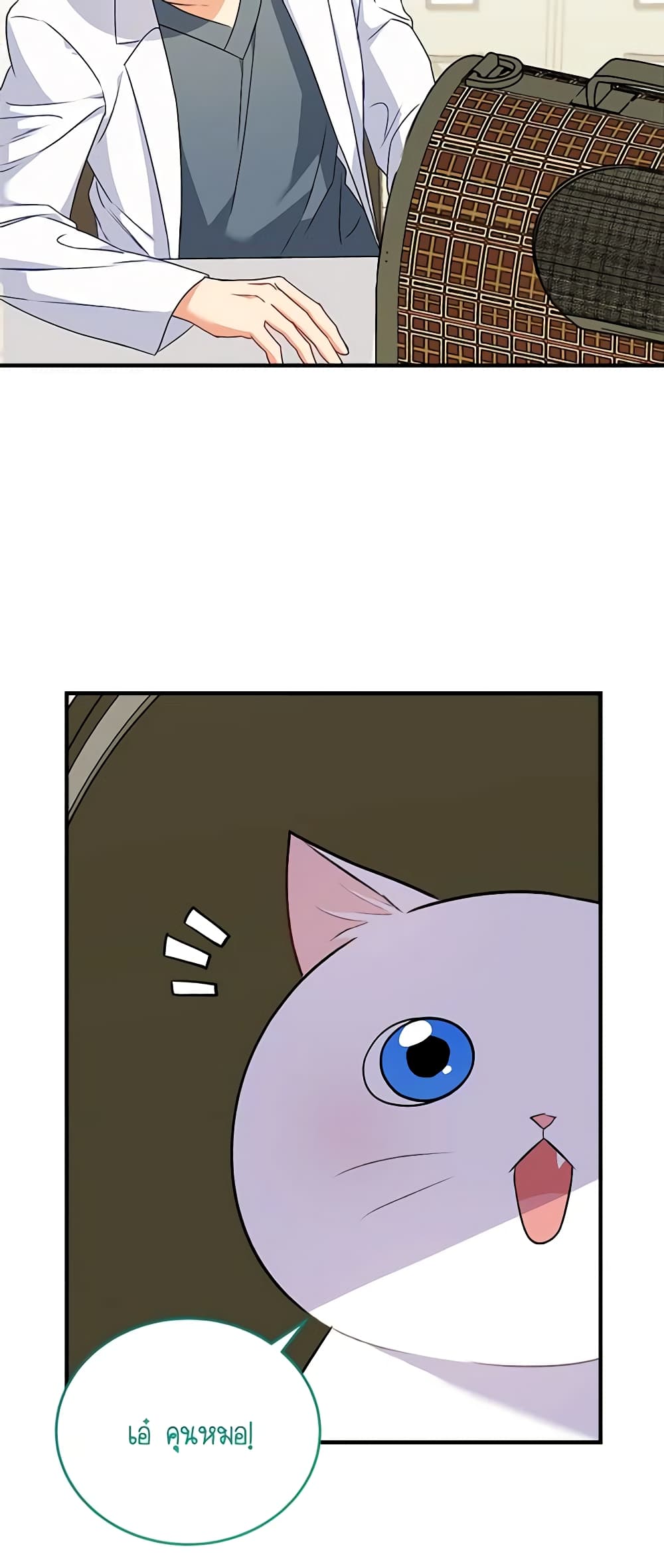 Hello! Veterinarian! page 35