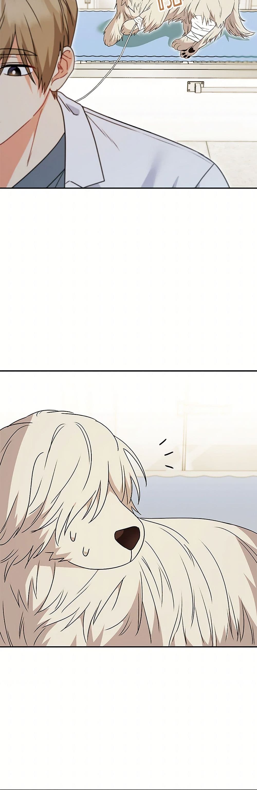 Hello! Veterinarian! page 11