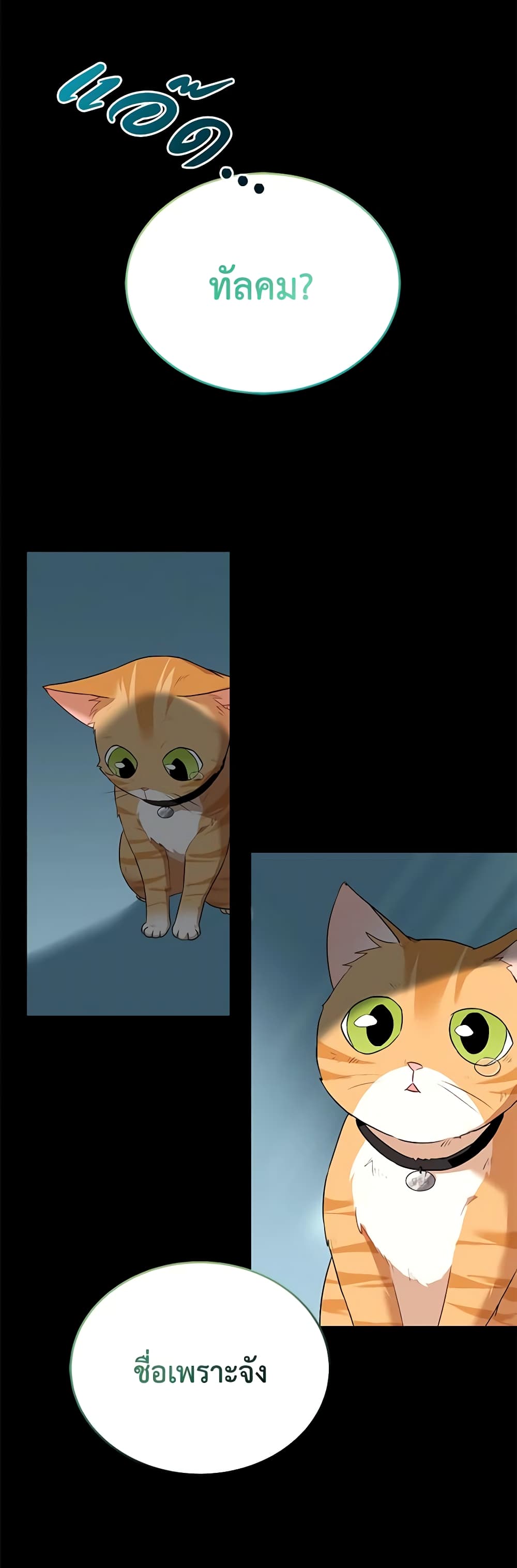 Hello! Veterinarian! page 34