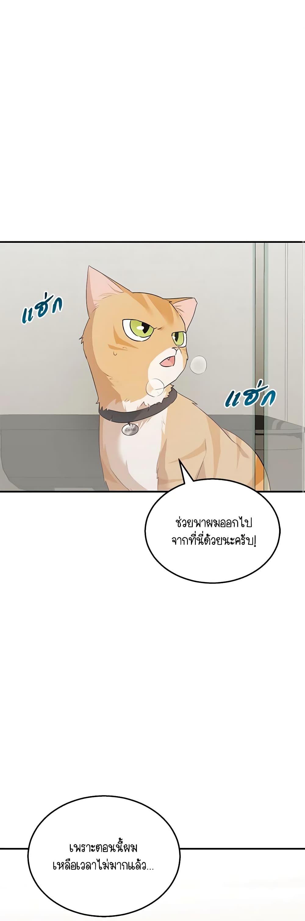 Hello! Veterinarian! page 2