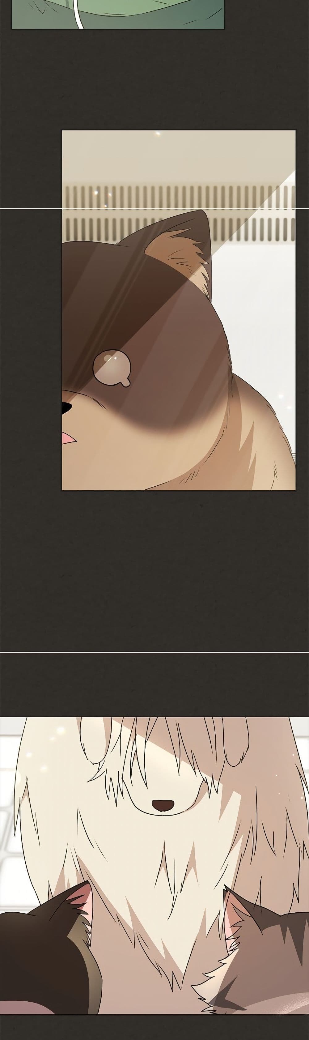 Hello! Veterinarian! page 6