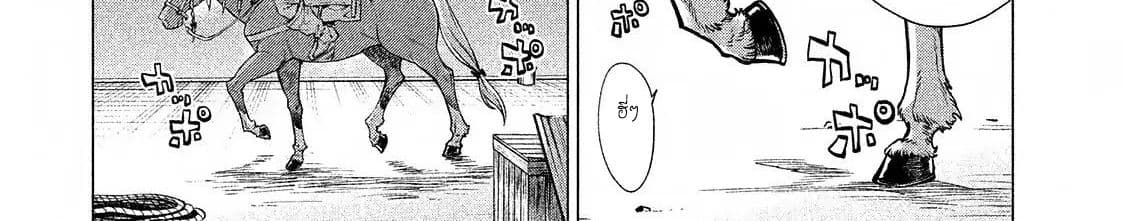 Henkyou no Roukishi - Bard Loen page 67