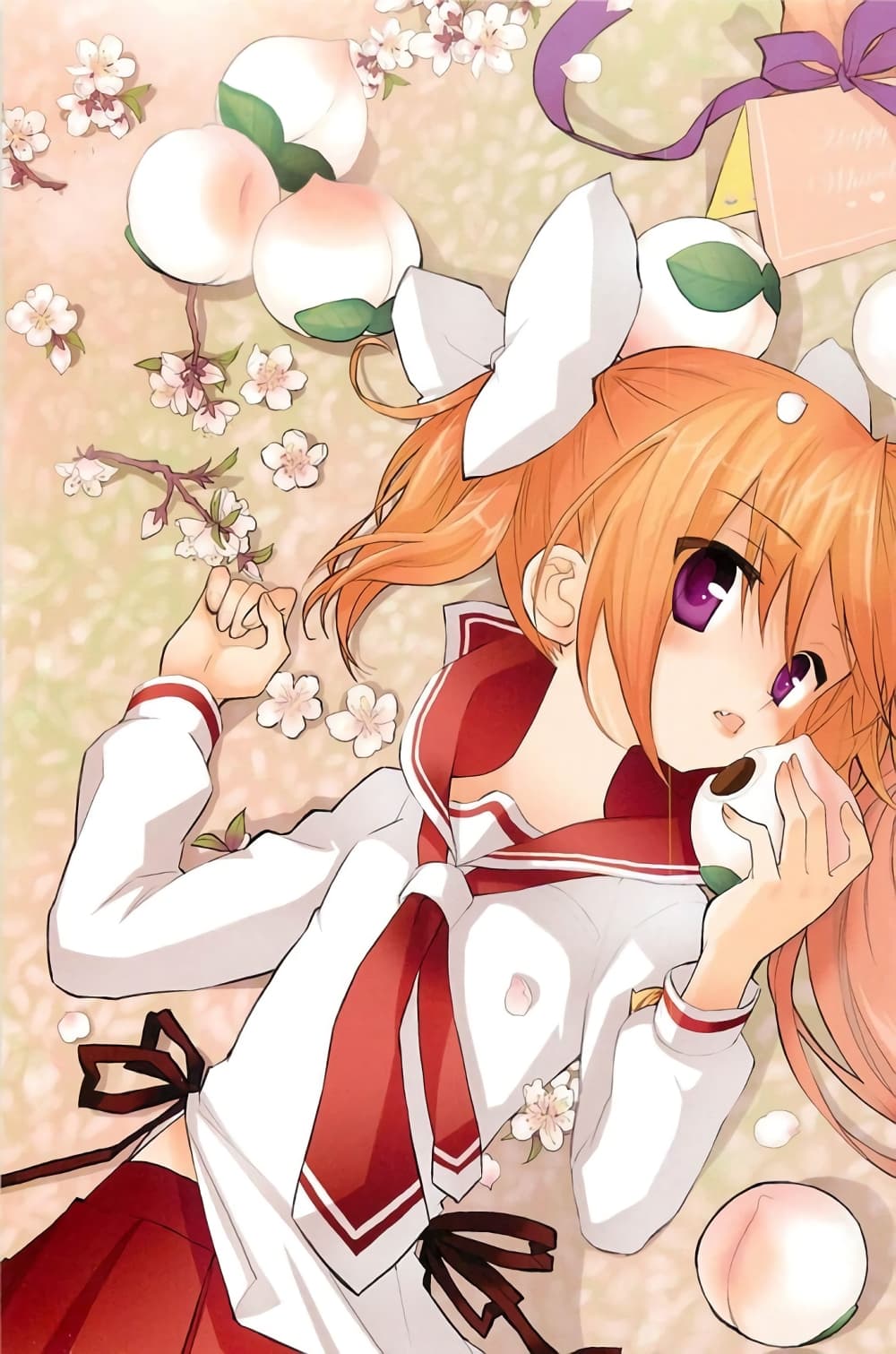 Hidan no Aria AA page 5