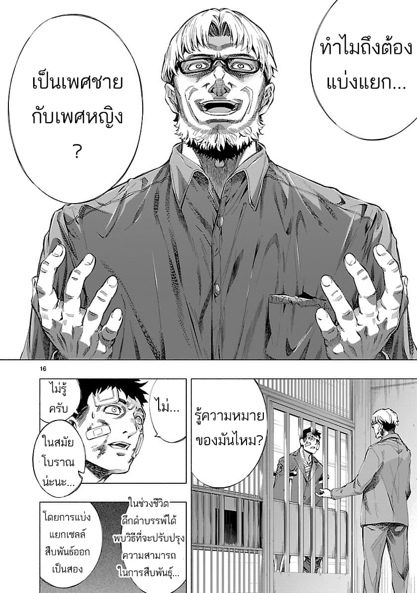 Himenospia page 15