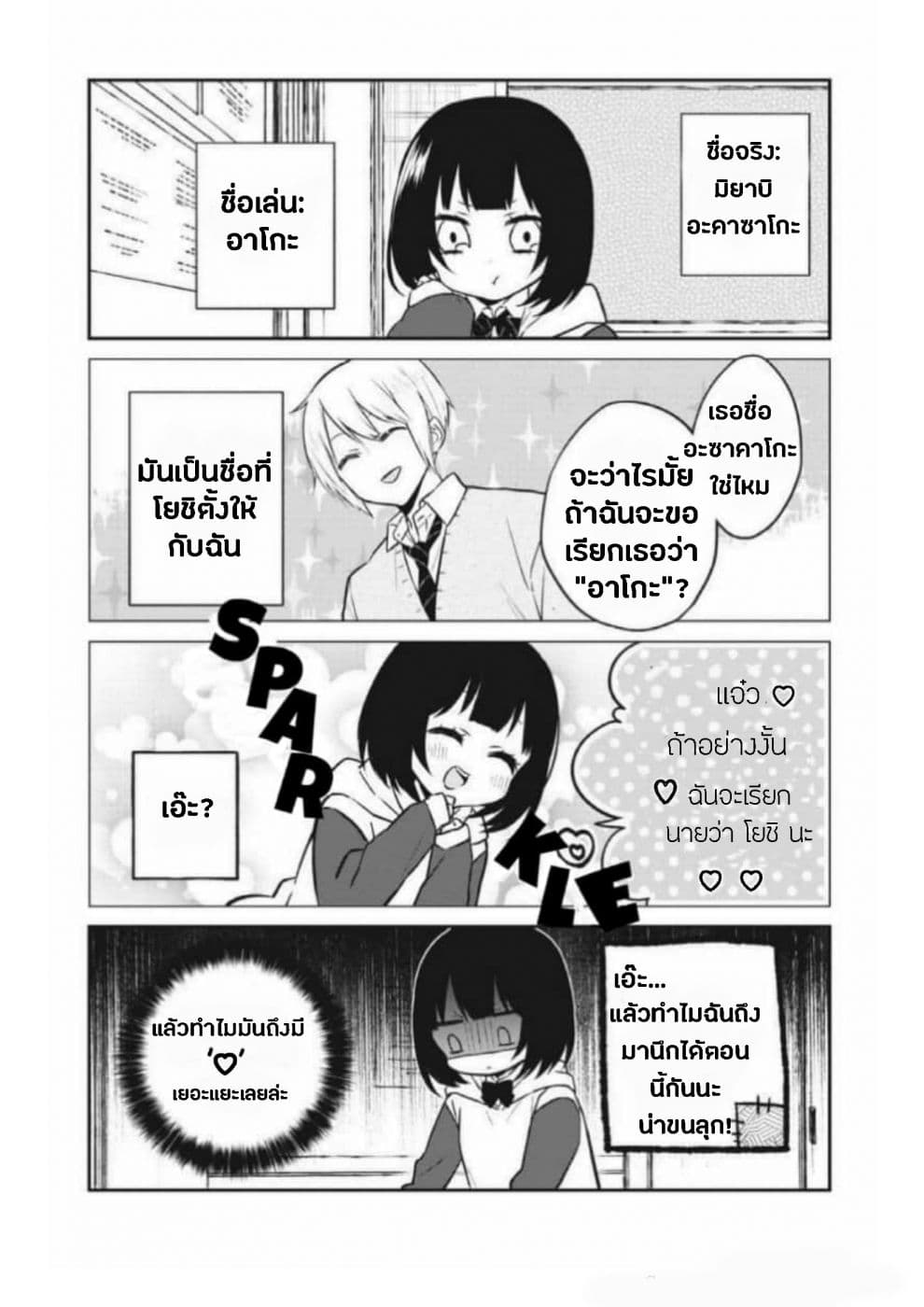 Houfuku Kanojo To Koukatsu Kareshi page 3