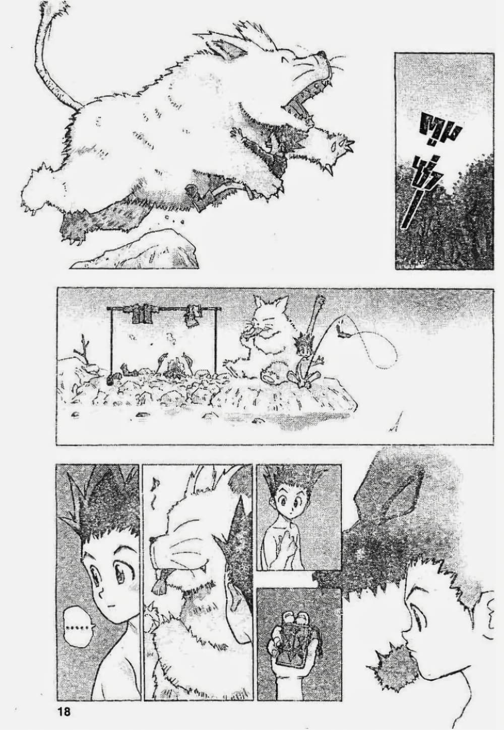 Hunter X Hunter page 13