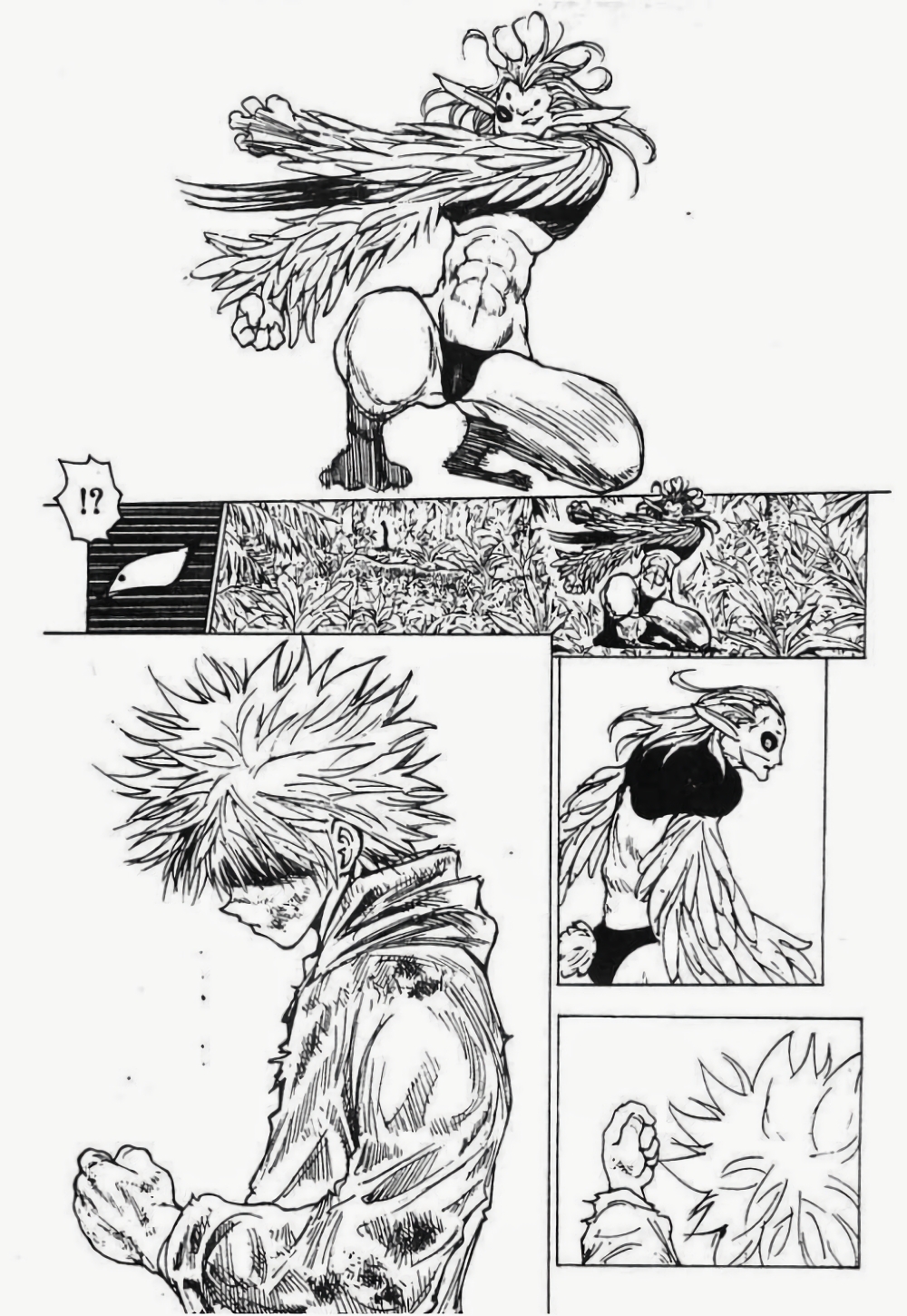 Hunter X Hunter page 10