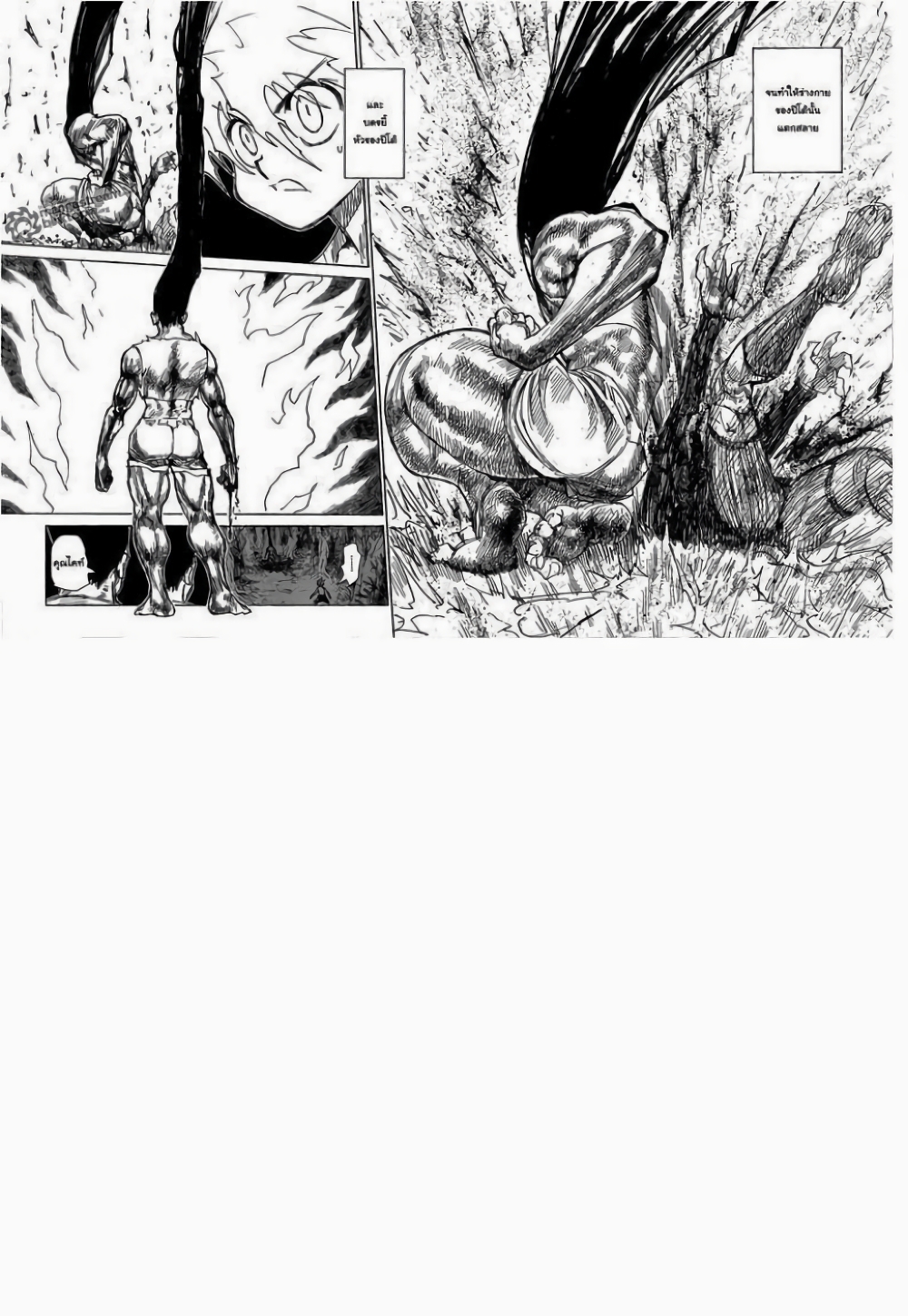 Hunter X Hunter page 3