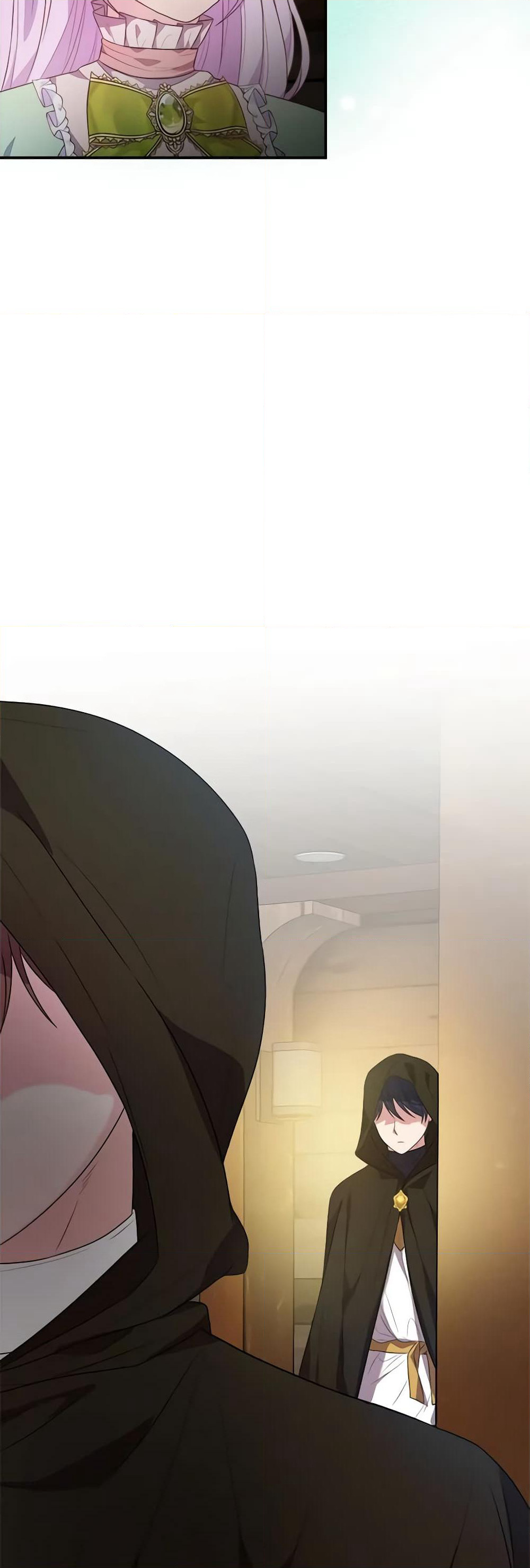I Became The Older Sister of A Regretful Male Lead page 5