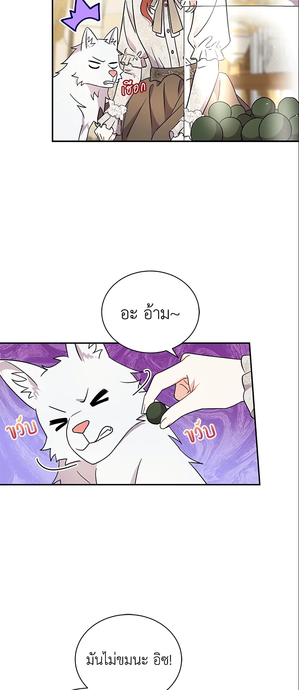 I Became the Villain’s Trainer page 41