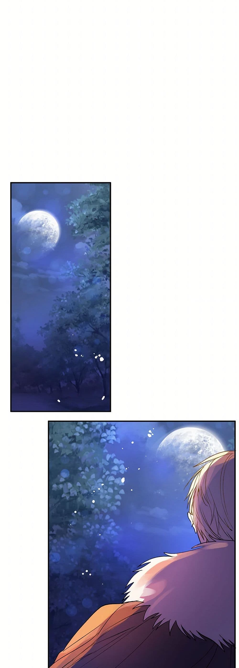 I Didn't Mean to Seduce the Male Lead! page 48