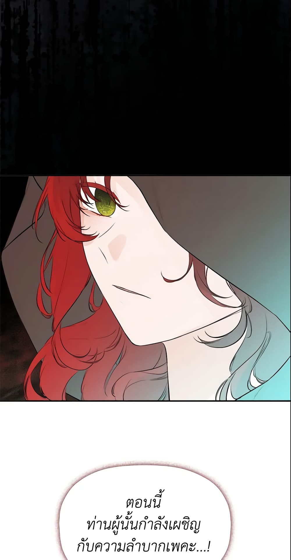 I Mistook the Hidden Identity of the Sub Male Lead page 9