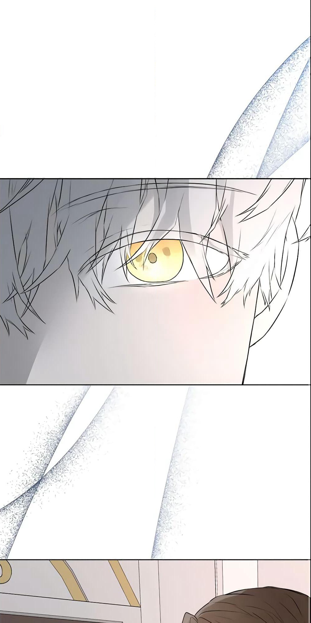 I Mistook the Hidden Identity of the Sub Male Lead page 2
