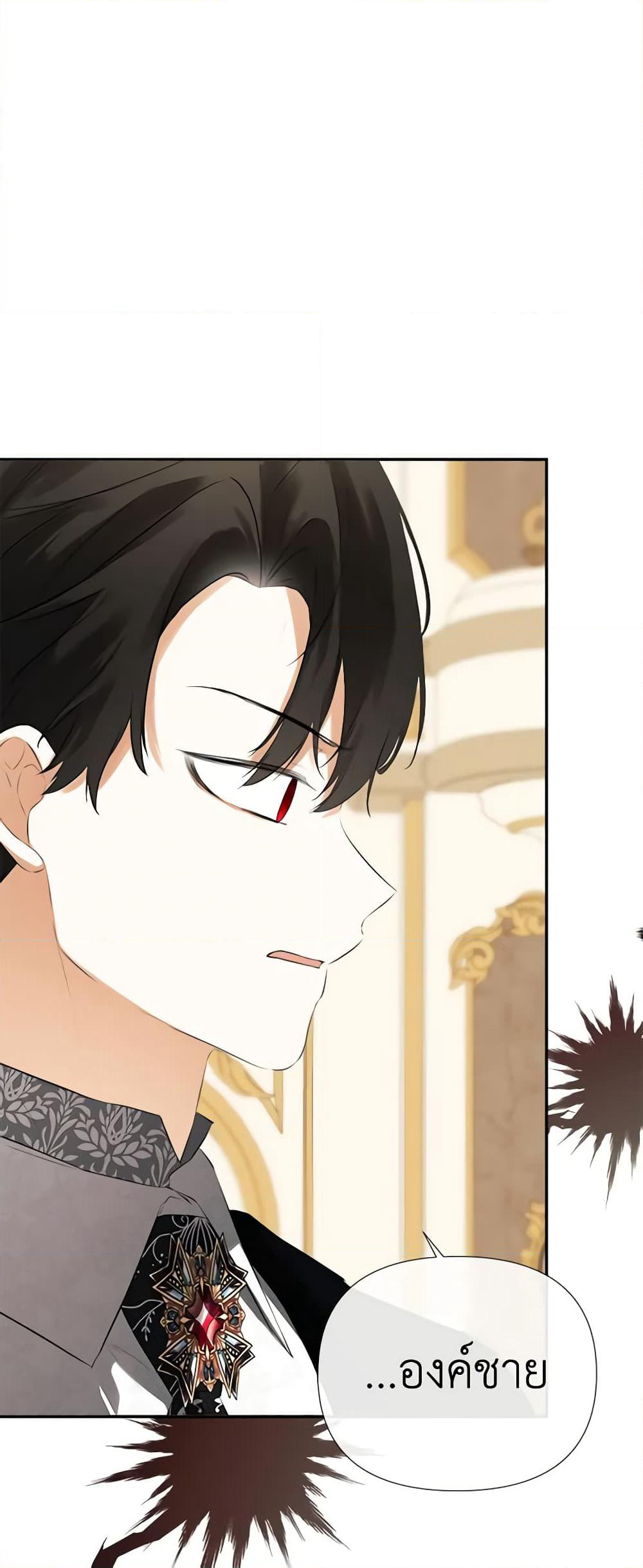 I Mistook the Hidden Identity of the Sub Male Lead page 4