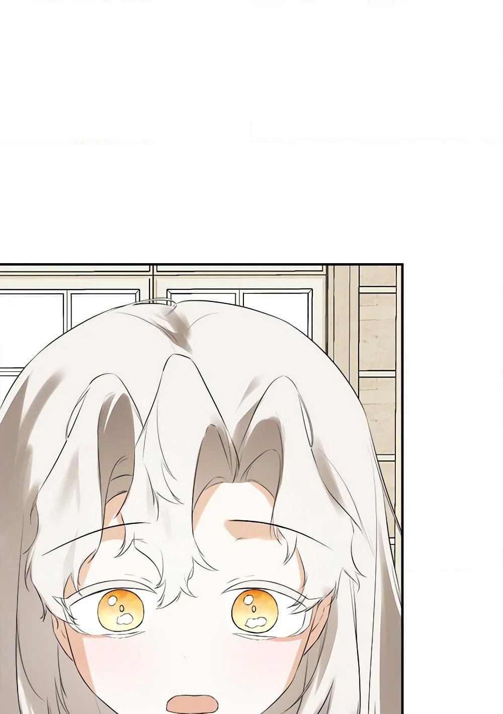 I Mistook the Hidden Identity of the Sub Male Lead page 2