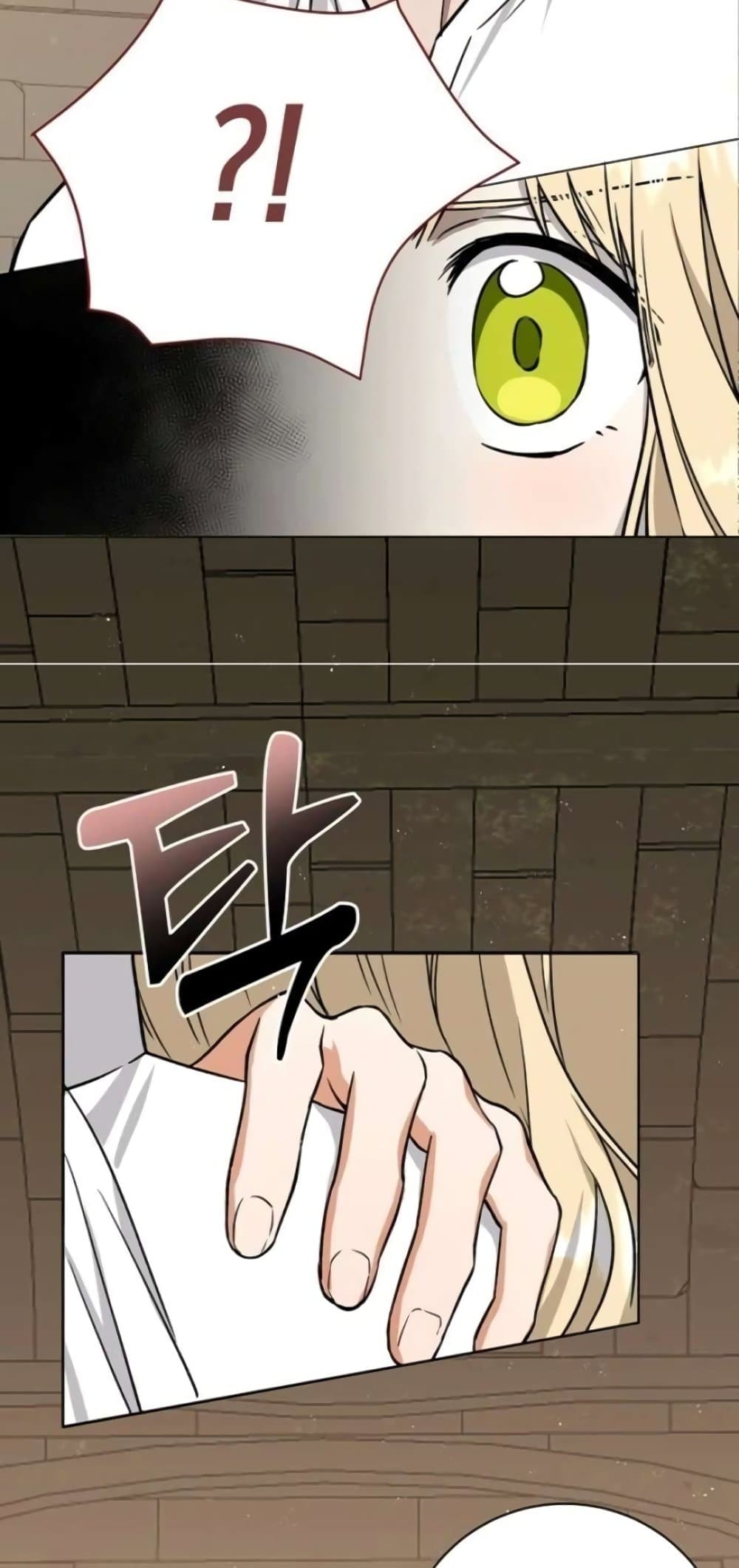 I Opened an Illegal Veterinary Clinic in Another World page 44