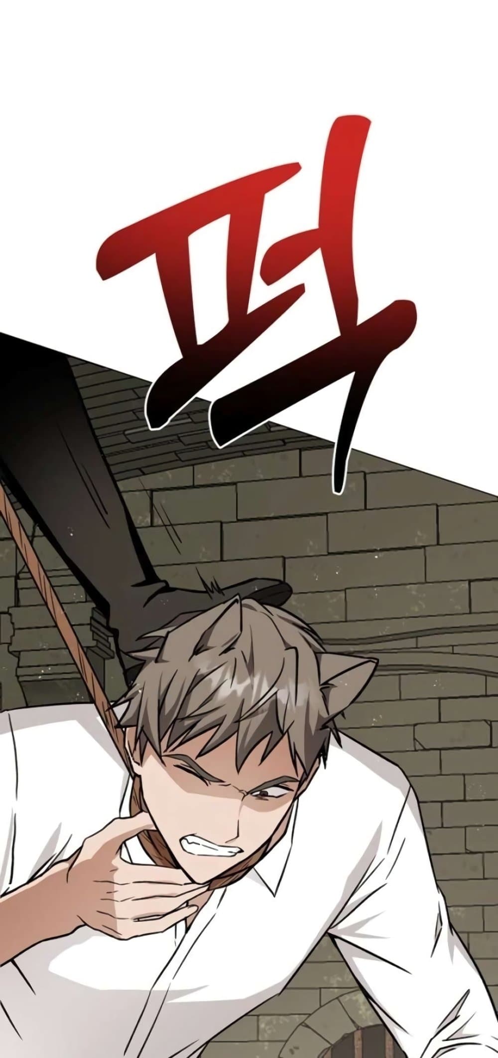 I Opened an Illegal Veterinary Clinic in Another World page 47