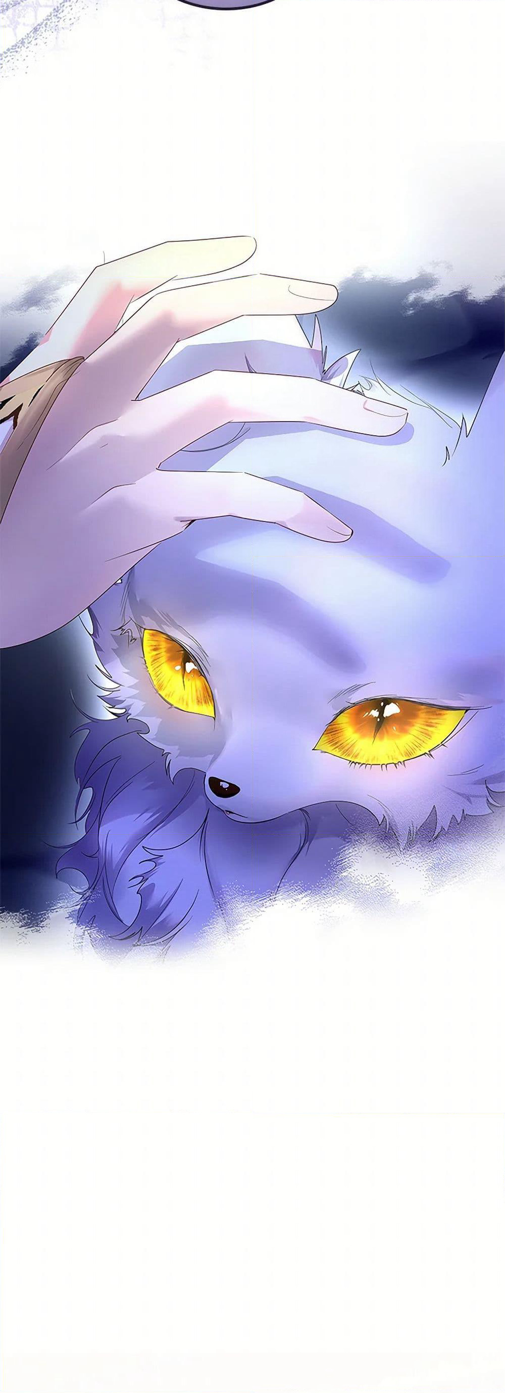 I Raised the Nine-Tailed Fox Wrongly page 49
