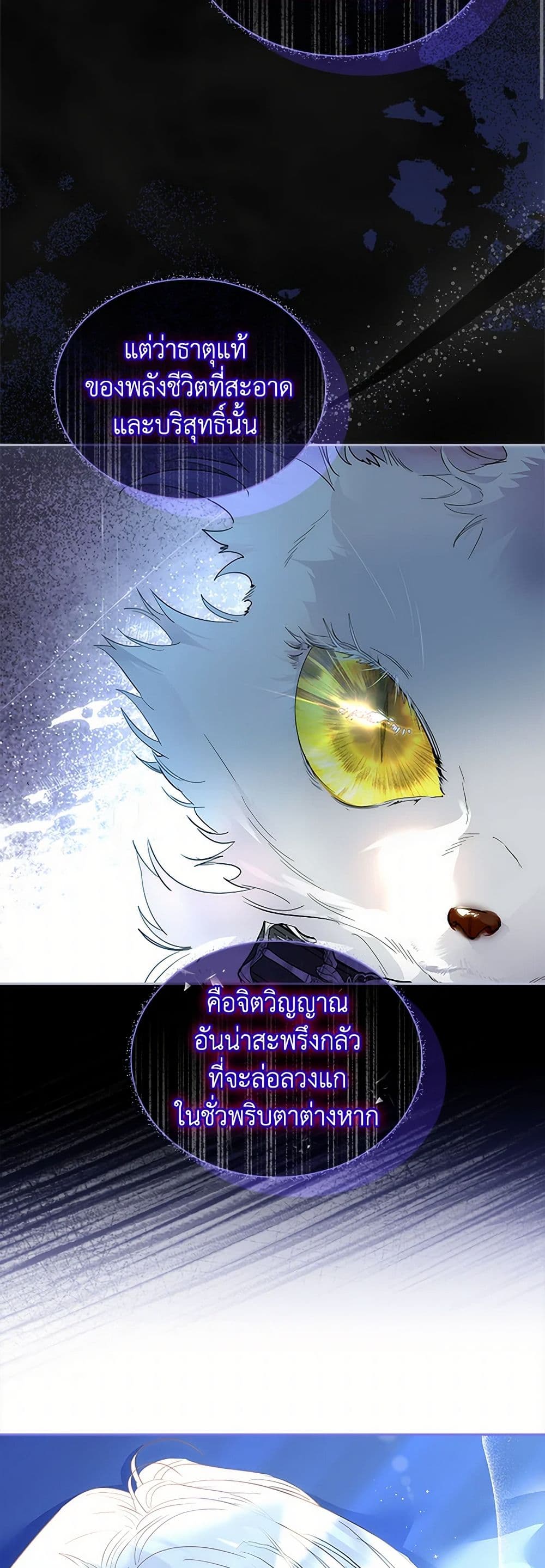 I Raised the Nine-Tailed Fox Wrongly page 11