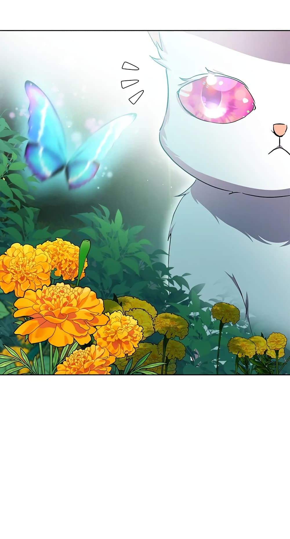 I Was Reincarnated as a Baby Fox God page 11