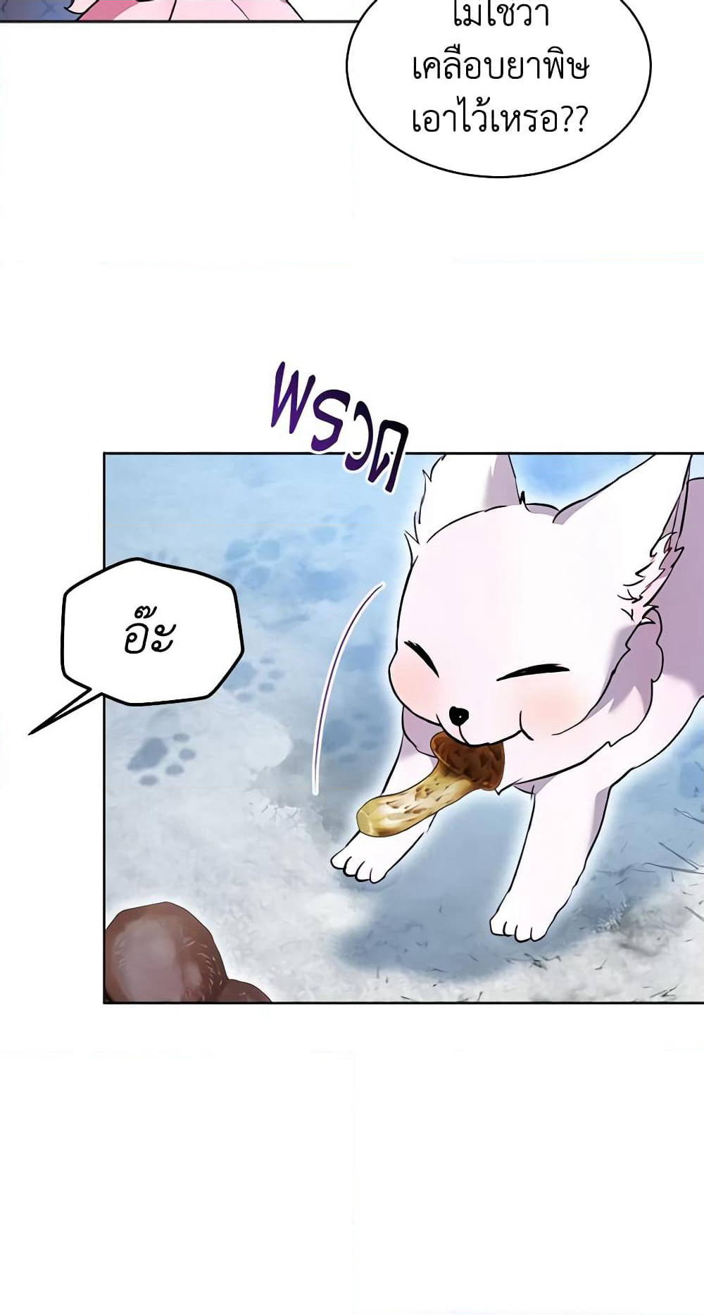 I Was Reincarnated as a Baby Fox God page 47