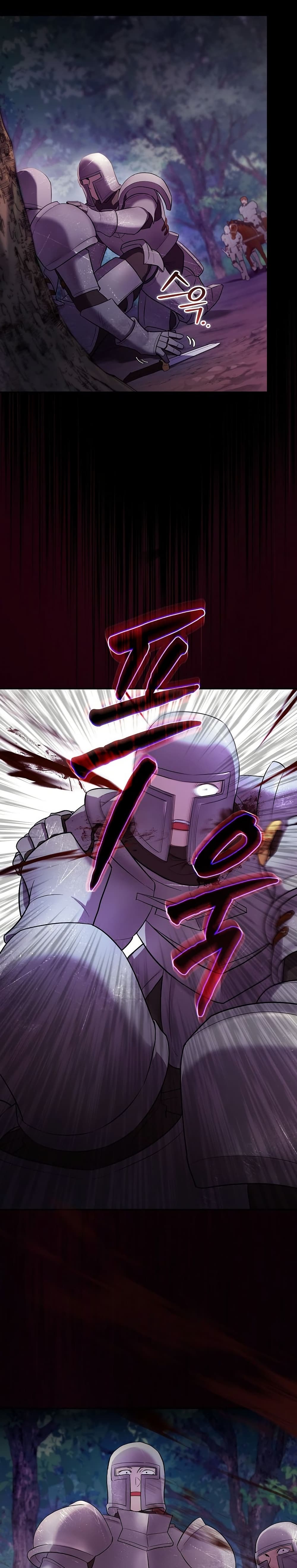 I Was Reincarnated as the Third Son of a Duke page 27
