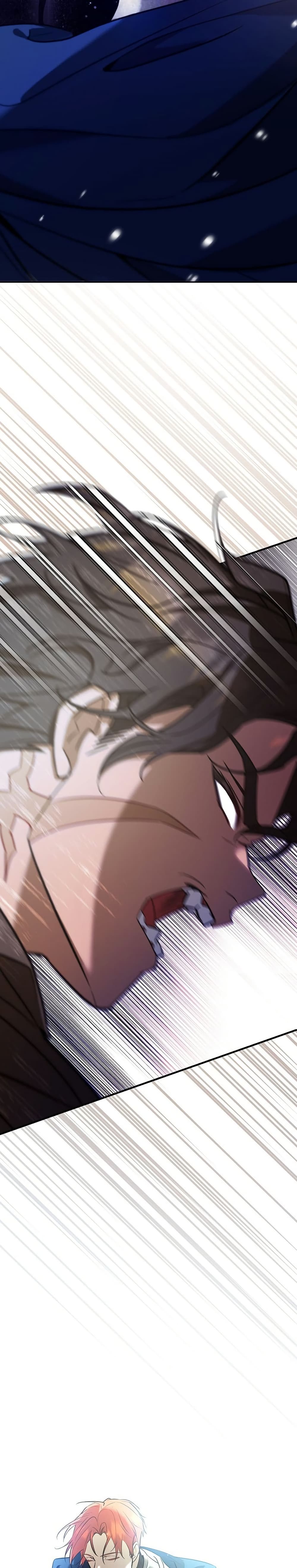 I Was Reincarnated as the Third Son of a Duke page 47