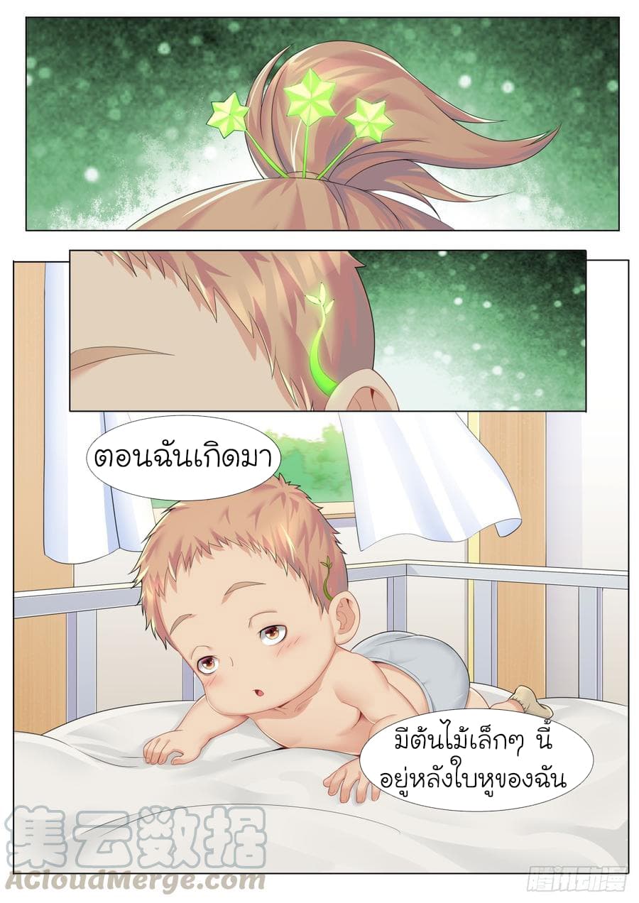 Immortal Boro ข้านี่แหละราชันแห่งพืช page 2
