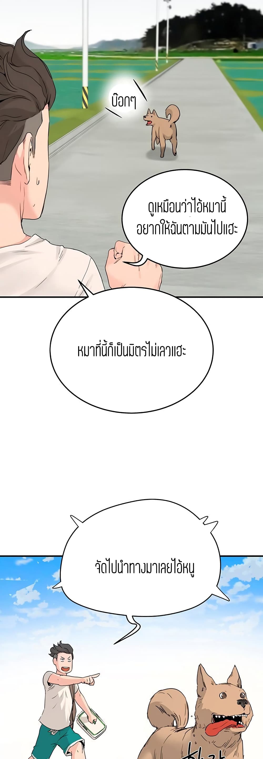 In the Summer page 15