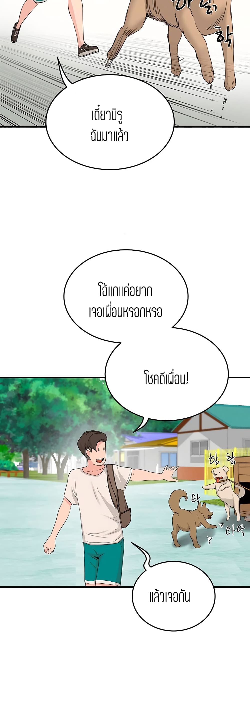 In the Summer page 16