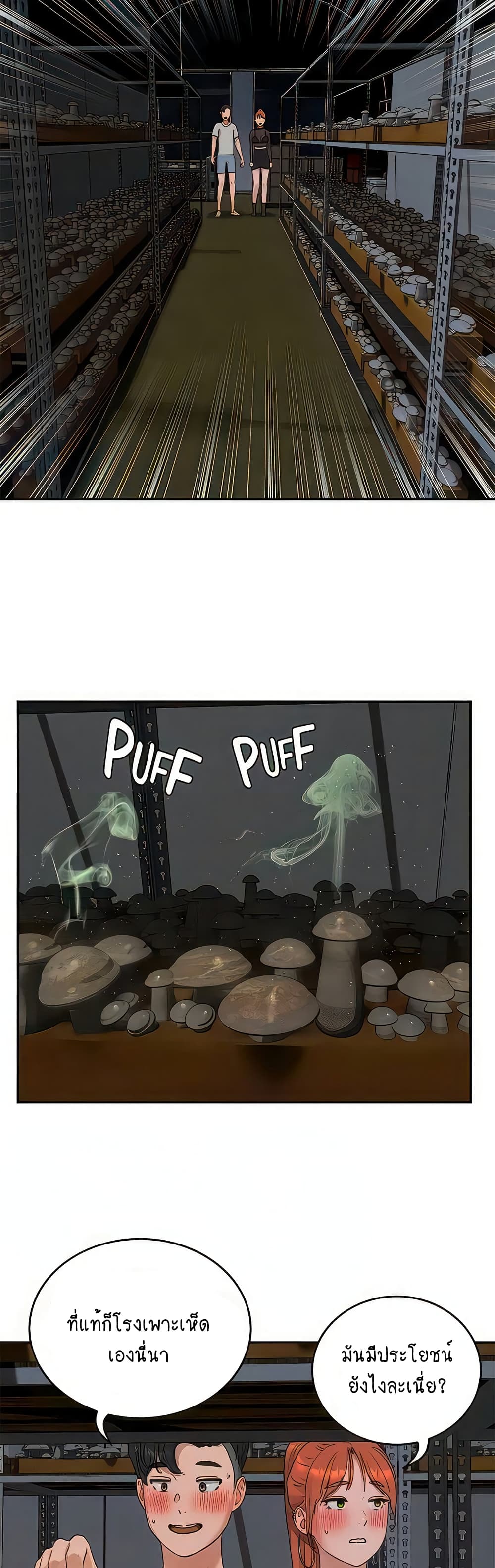 In the Summer page 14
