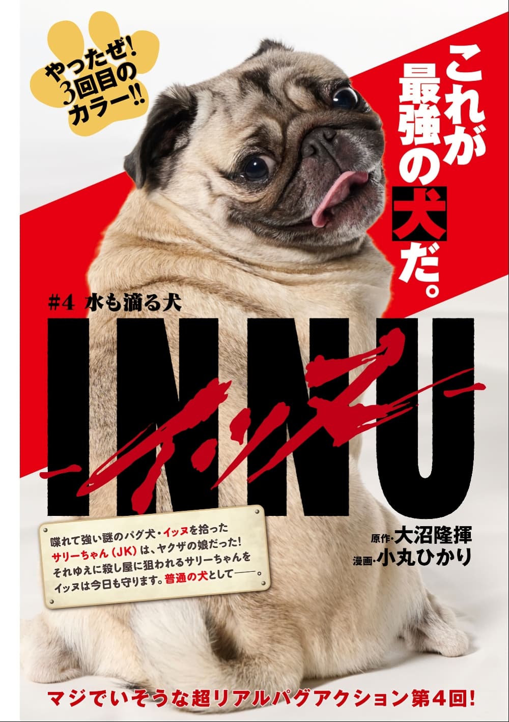 INNU - Girl Meets Dog page 3