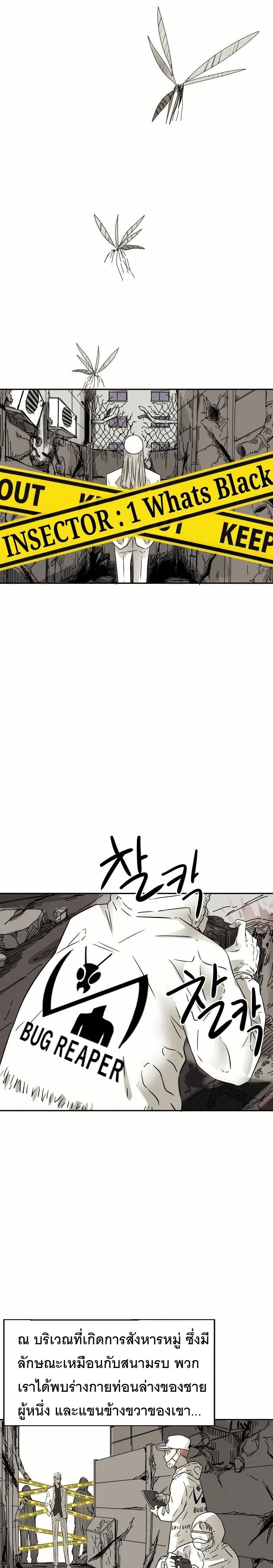 INSECTOR page 7