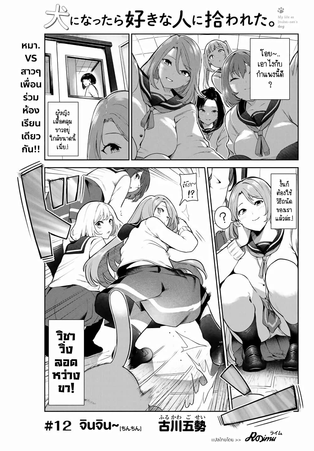 Inu ni Nattara Sukina Hito ni Hirowareta page 2