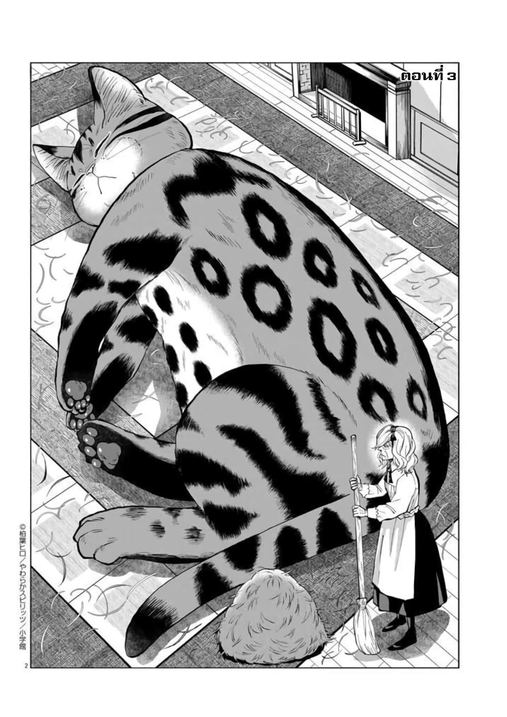 Isekai Neko to Fukigenna Majo page 3