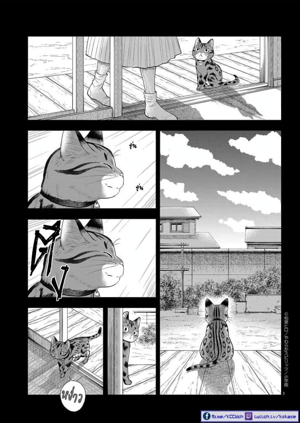 Isekai Neko to Fukigenna Majo page 4